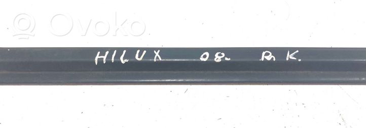 Toyota Hilux (AN10, AN20, AN30) Etuoven lasin muotolista 