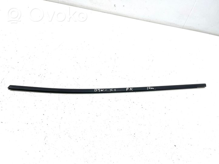 BMW X1 E84 Front door glass trim molding 