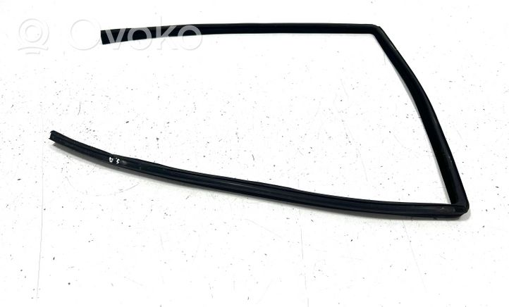 Land Rover Range Rover Sport L320 Rubber seal rear door window/glass CGE000841