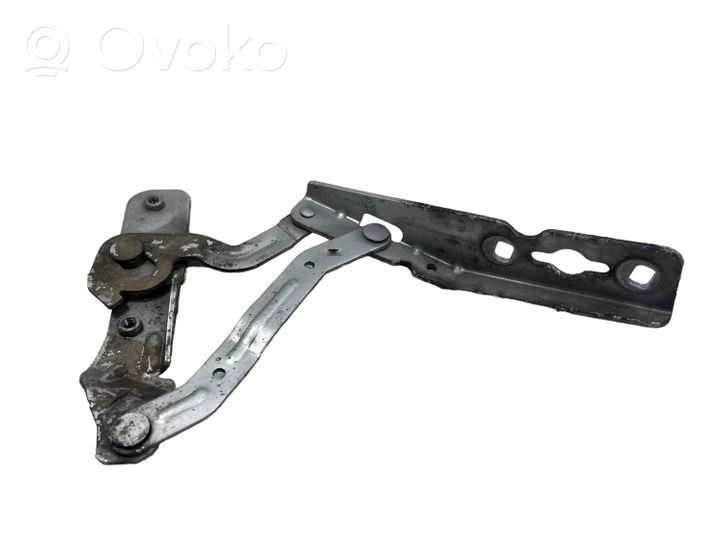 Ford C-MAX II Cerniere del vano motore/cofano AM51316801AF