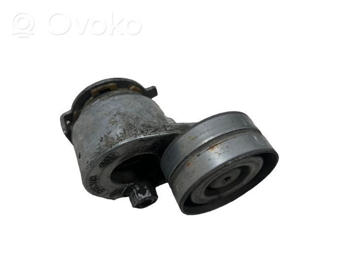 Renault Megane III Napinacz paska alternatora 9053284628