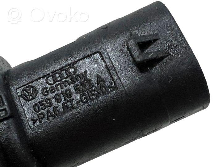 Audi A4 S4 B8 8K Sensore temperatura del carburante 059919523A