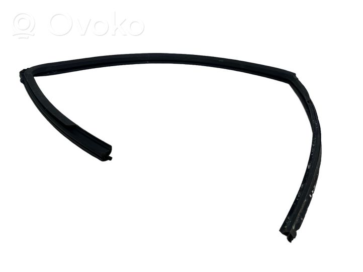 Nissan Qashqai Guma sandarinimo priekinių durų (prie stiklo) 80331JD000