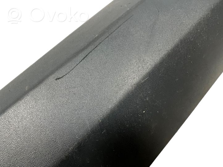 Renault Megane III Rear door trim (molding) 828760001R