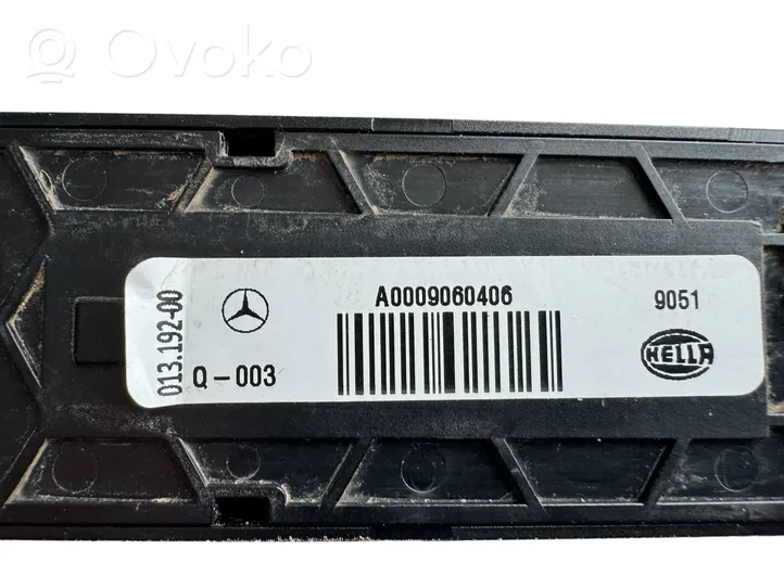 Mercedes-Benz GLS X167 Inne oświetlenie wnętrza kabiny A0009060406