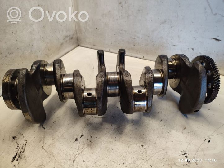 Volkswagen Touran I Crankshaft 