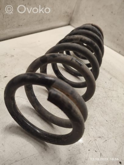 Hyundai Sonata Rear coil spring 