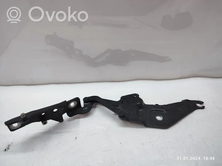 BMW X5 E70 Cerniere del vano motore/cofano 7208628