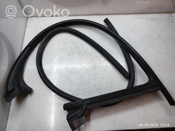 Volkswagen PASSAT CC Front door rubber seal 