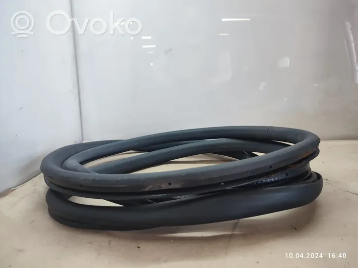 Volkswagen PASSAT B7 Front door rubber seal 3C4867911B