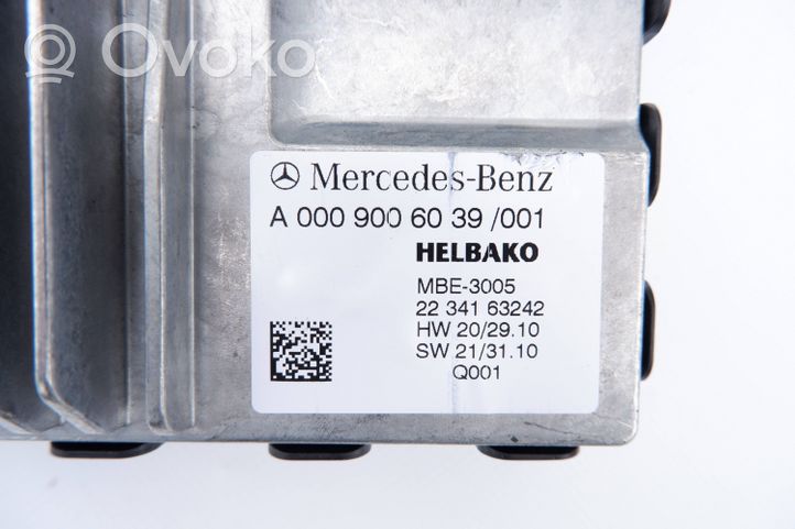 Mercedes-Benz EQS V297 Altre centraline/moduli A0009006039