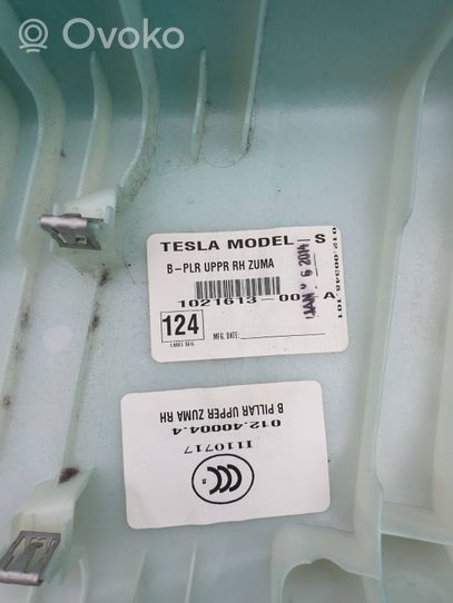 Tesla Model S Osłona górna słupka / B 102161300A