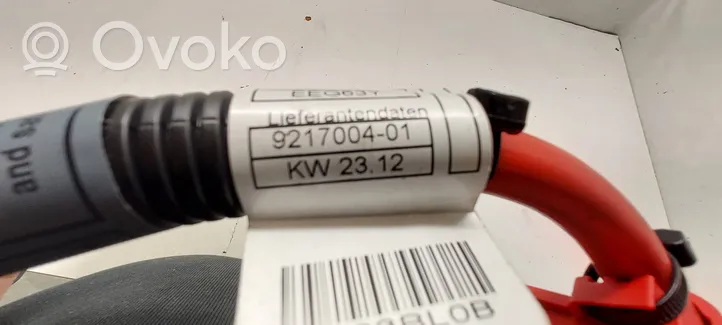 BMW X5 E70 Câble de batterie positif 188861