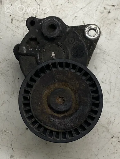 Mercedes-Benz E W211 Tendicinghia generatore/alternatore 