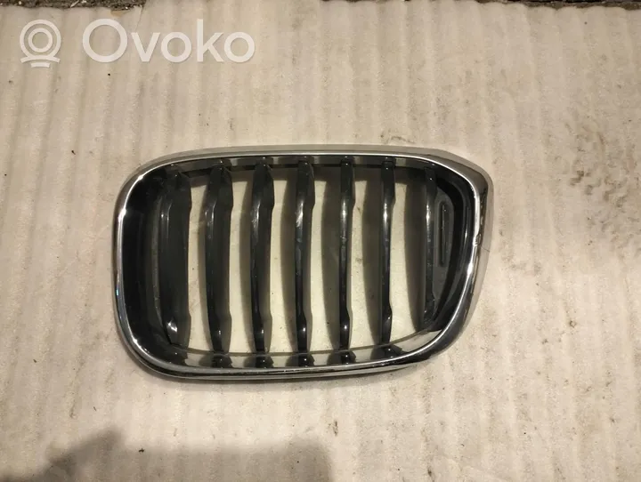 BMW X3 G01 Maskownica / Grill / Atrapa górna chłodnicy 8091725