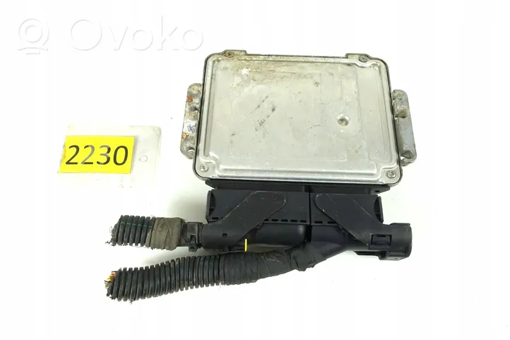 LDV Maxus Centralina/modulo motore ECU 0281012165