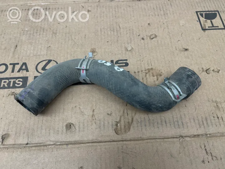Toyota Prius (XW50) Engine coolant pipe/hose LCTG