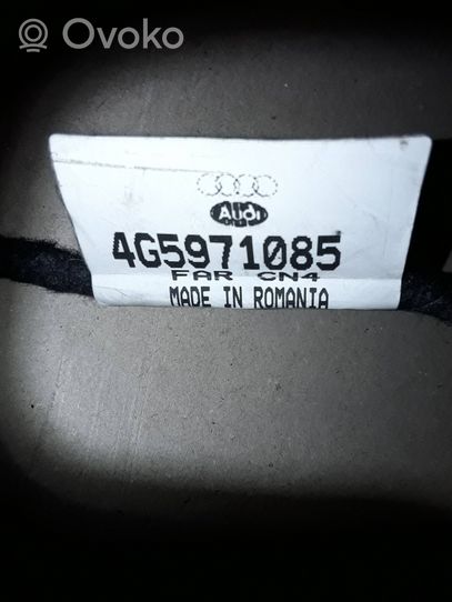 Audi A6 S6 C7 4G Cablaggio del sensore di parcheggio (PDC) 4G5971085