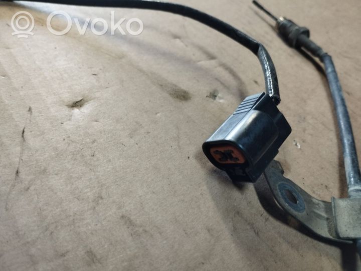 Peugeot 4007 Abgastemperatursensor 9664531380