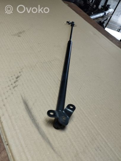 Honda Element Tailgate/trunk strut/damper 