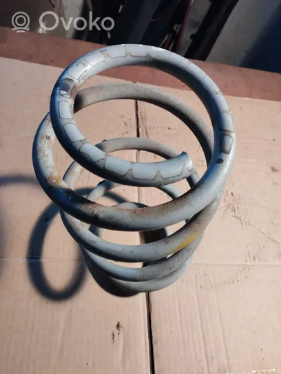 Dodge Journey Front coil spring 