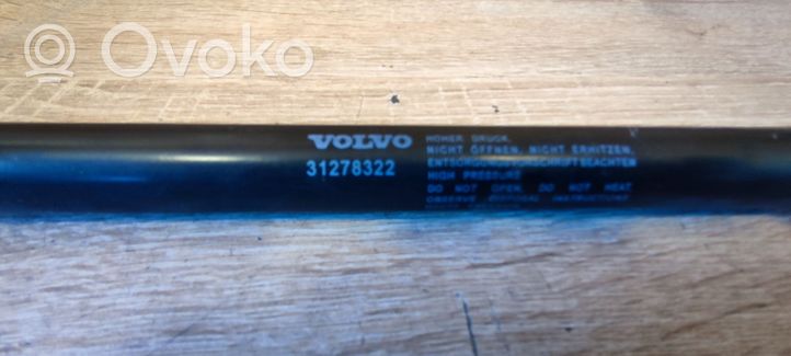 Volvo V50 Ammortizzatore portellone posteriore/bagagliaio 31278322