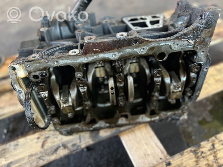 Skoda Octavia Mk2 (1Z) Blocco motore CAYN