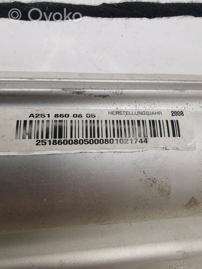 Mercedes-Benz R W251 Beifahrerairbag A2518600805