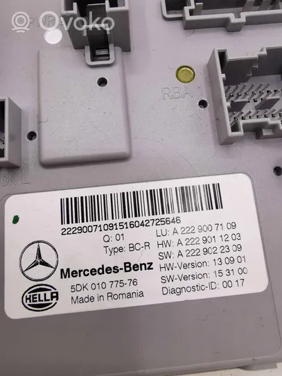 Mercedes-Benz GLC X253 C253 Unité de contrôle SAM A2229007109