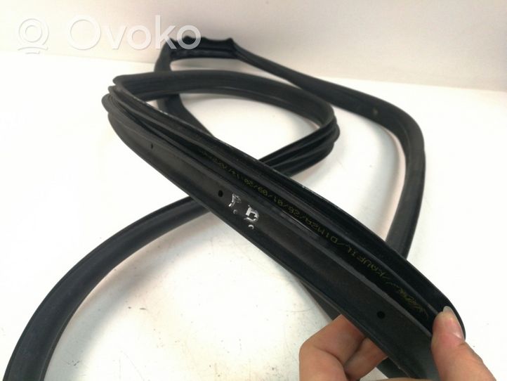 Ford S-MAX Front door rubber seal 