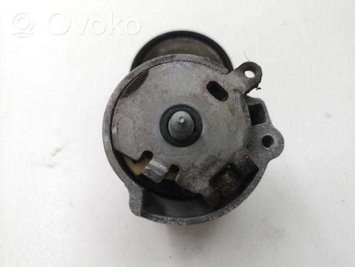 Alfa Romeo Giulietta Tendicinghia generatore/alternatore 05061000