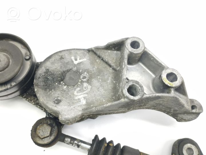 Volkswagen New Beetle Alternator belt tensioner 950434