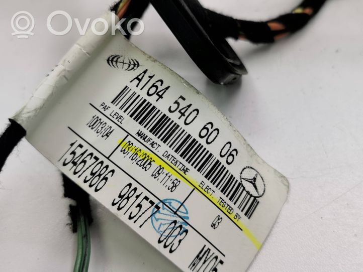 Mercedes-Benz ML W164 Rear door wiring loom A1645406006