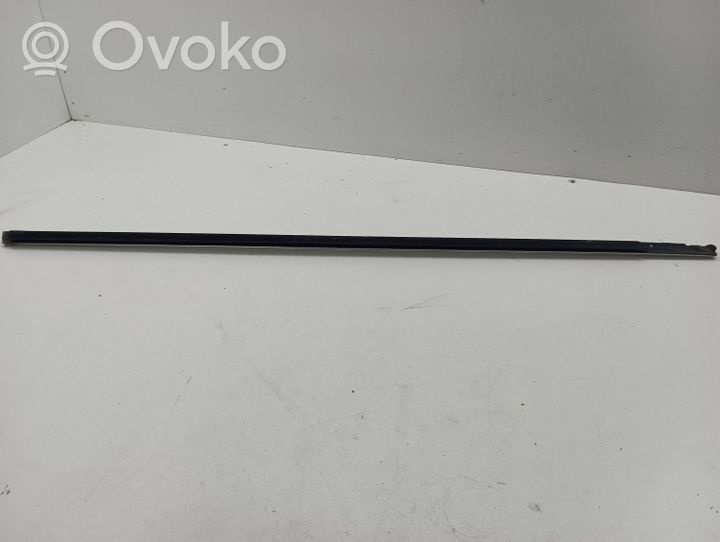 Volvo S60 Front door glass trim molding 