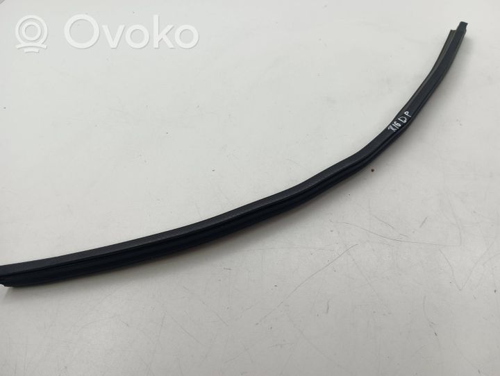 Nissan Qashqai Rubber seal front door (on door) 