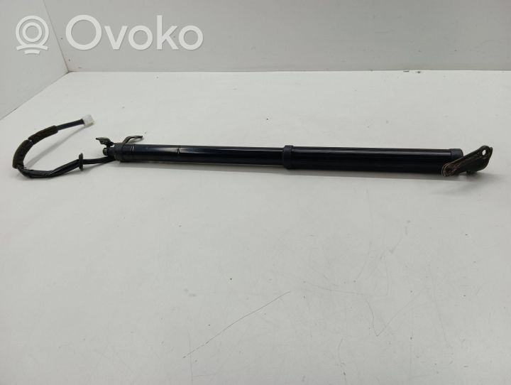 Lexus NX Vérin de capot arrière 6892078021