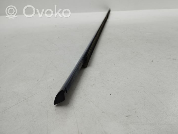 BMW X5 E53 Rear door glass trim molding 