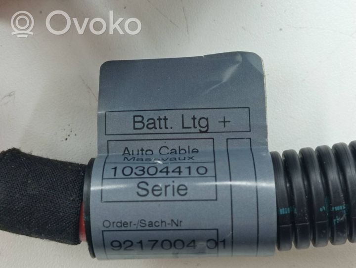 BMW X5 E70 Fusibile relè della batteria 10304410