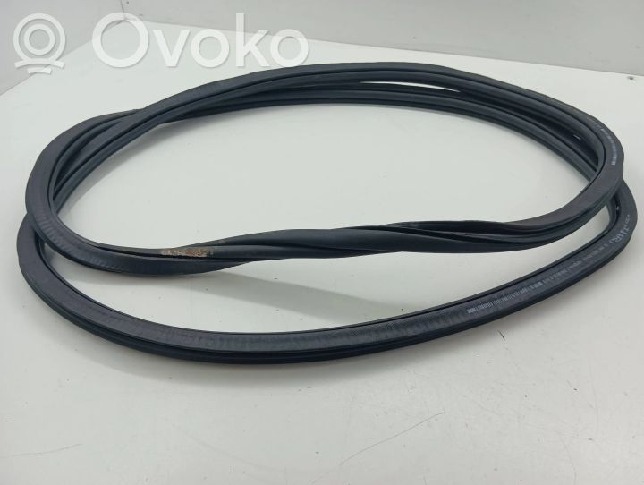 5NA867914B Volkswagen Tiguan Rear door rubber seal (on body), 50.00 € RRR