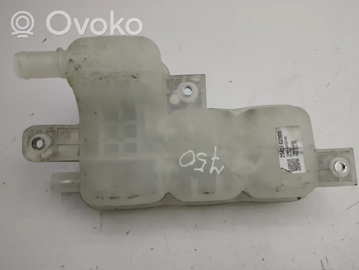 KIA Niro Coolant expansion tank/reservoir 25430G2800