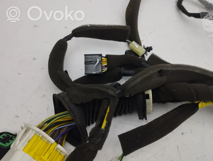 Opel Antara Front door wiring loom 95491034