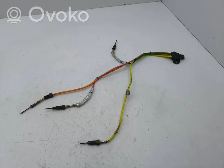 Nissan Qashqai Išmetamųjų dujų temperatūros daviklis 11C060300