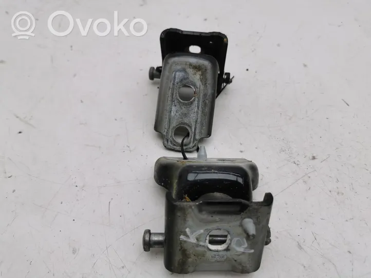 Citroen DS3 Front door hinge set 