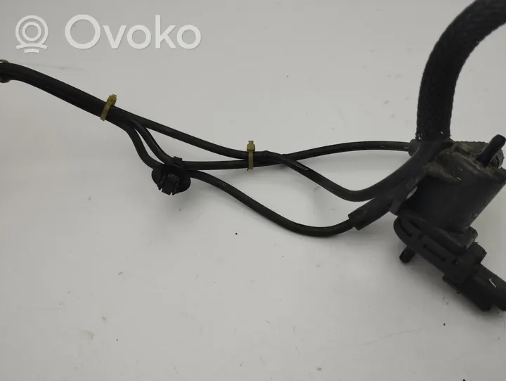 Citroen C4 II Picasso Vakuuminis vožtuvas 9801887680