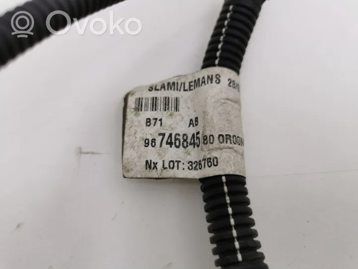 Citroen C4 II Autres faisceaux de câbles 9674684580