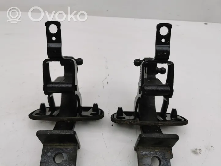 Volvo V70 Set di cerniere portiera di carico 312184256