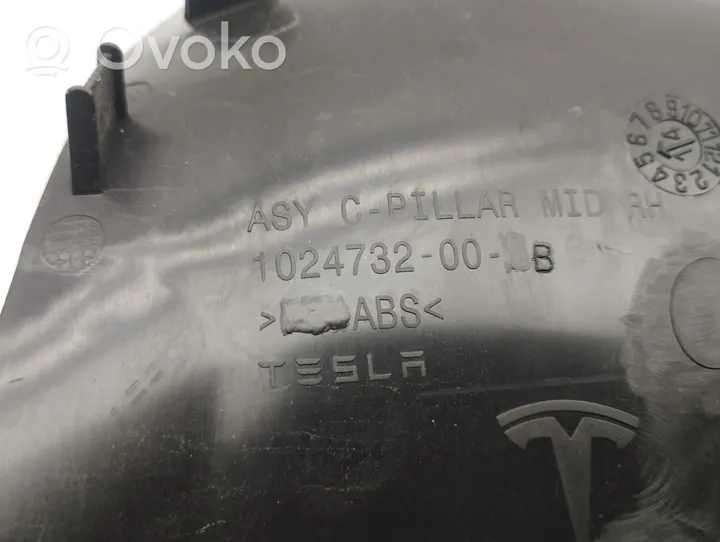 Tesla Model S Osłona środkowa słupka / C 102473200B