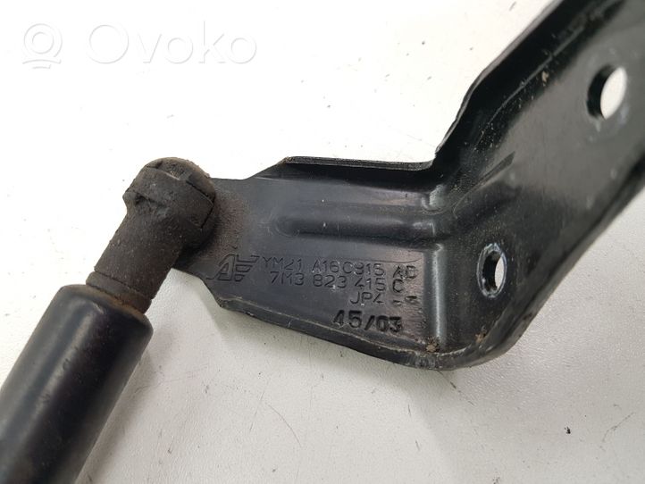 Volkswagen Sharan Ammortizzatore portellone anteriore/cofano 7M3823359A