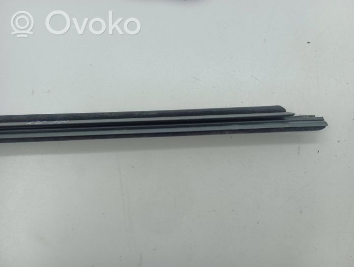 BMW 7 F01 F02 F03 F04 Rubber seal rear door window/glass 