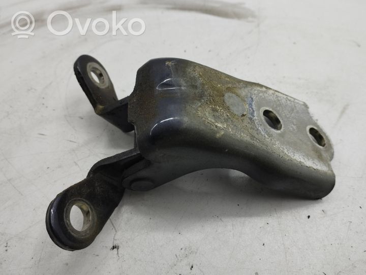 Opel Antara Front door hinge set 12H07